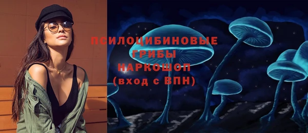 бошки Алексин