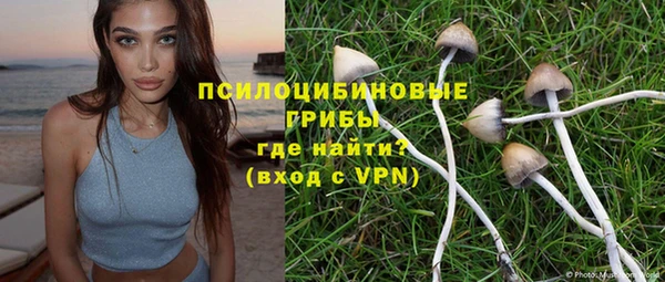 бошки Алексин
