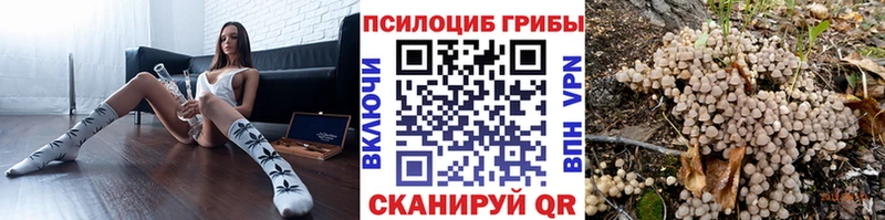 Галлюциногенные грибы ЛСД  где можно купить   Каргат 